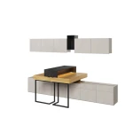 TEEN FLEX  SET - 04B zestaw mebli młodzieżowych   