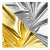 3f7aca51-2ed6-4719-adc0-1fc869315b50.png
