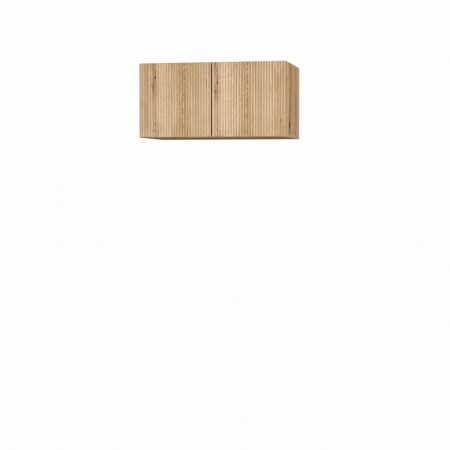 _ANN-1D.webp