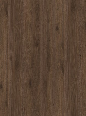 Orzech-Okapi-R30135.jpg