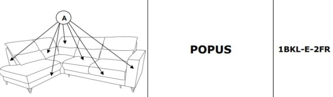 POPUS LEWY.jpg