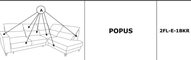 POPUS PRAWY.jpg