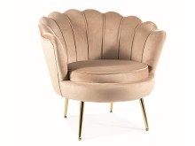 a53aee4550e1baa6ca69de3703a542a3