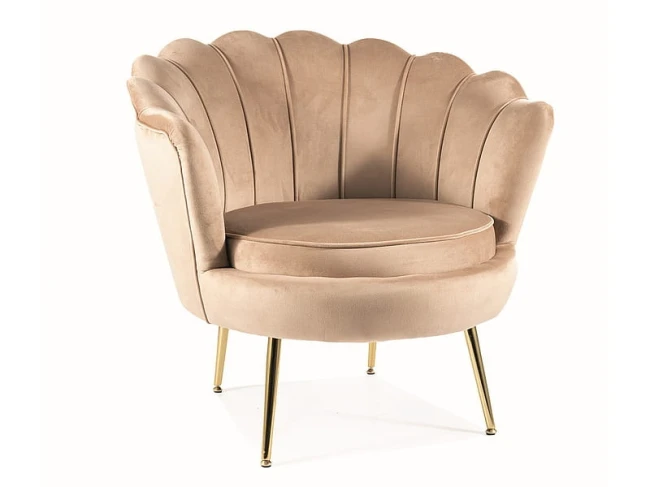 a53aee4550e1baa6ca69de3703a542a3