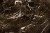 c122c9ab5f6fcc6992a775368f66ef8b
