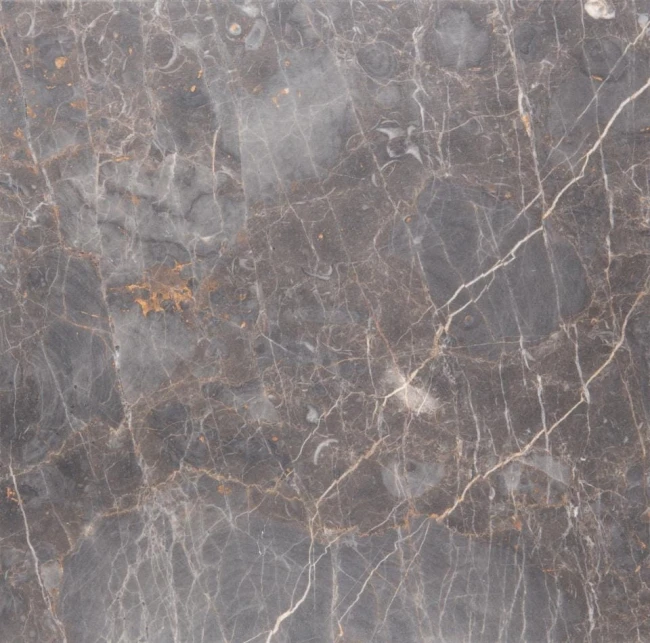 4d09b2fc8e739d4562a39d912c32c1e1