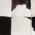 2c06f70f27beae86c8c3426d71b9bab5