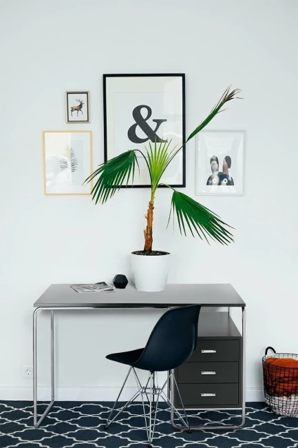 975627ad8d652caa3001c1efda4113b2