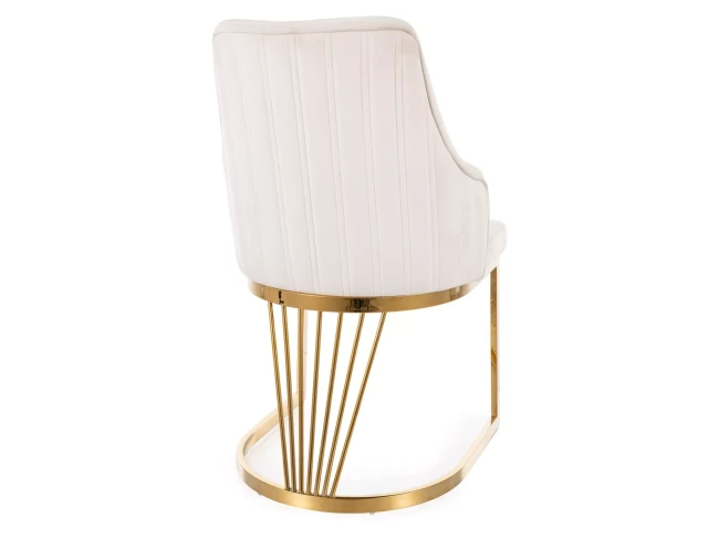 c491abd068cdc6cdb4962ebb9f46c5dd