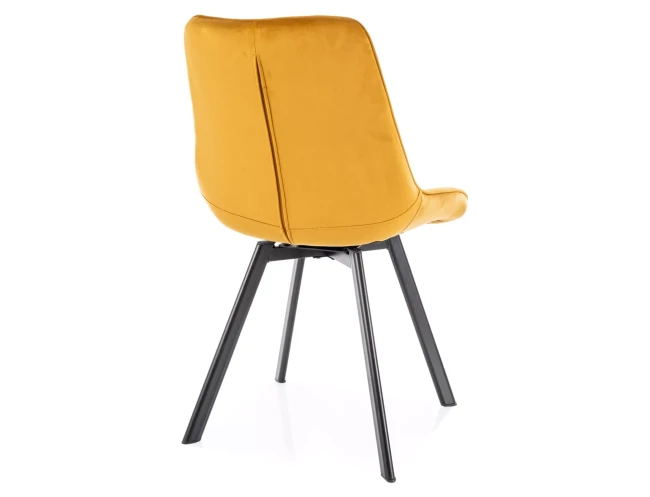 907f29458408e22a5ac97e0131c9d851